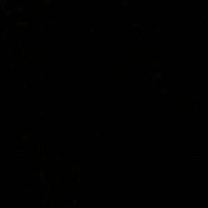 Meet your Posher, Alexia